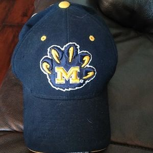 Michigan wolverines hat